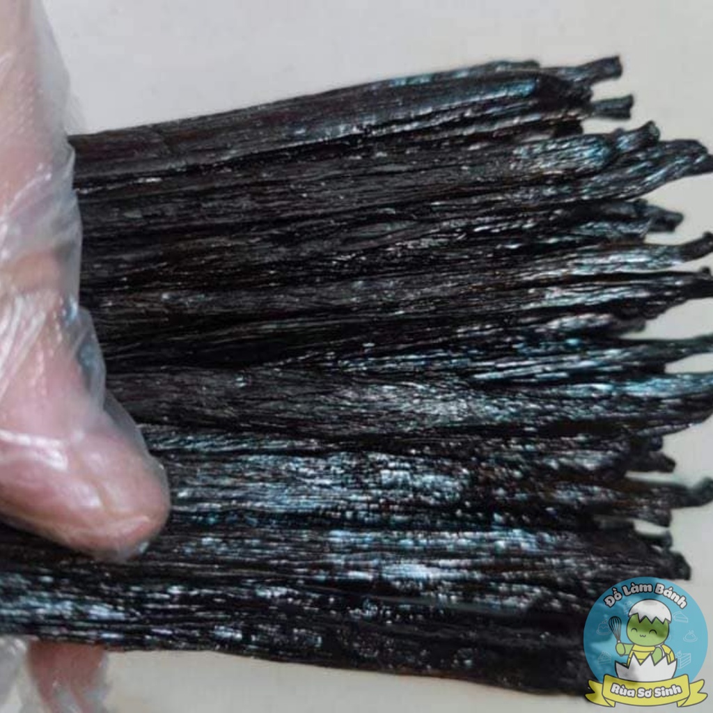 Set quả Vani Papua New Guinea