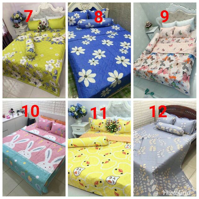 Bộ chăn ga hè 5 món cotton poly
