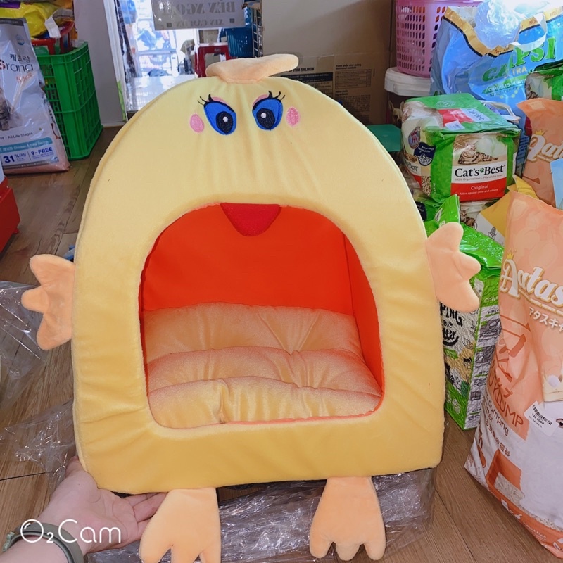 các mẫu nhà ngủ cho chó mèo