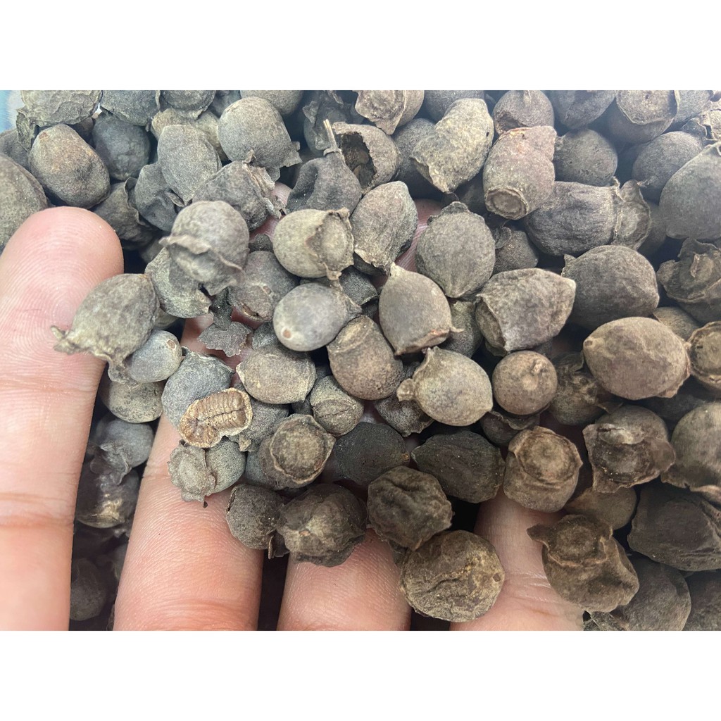 QUẢ SIM KHÔ  - HÀNG HOÀ BÌNH - ĐÓNG GÓI 1 KÍ