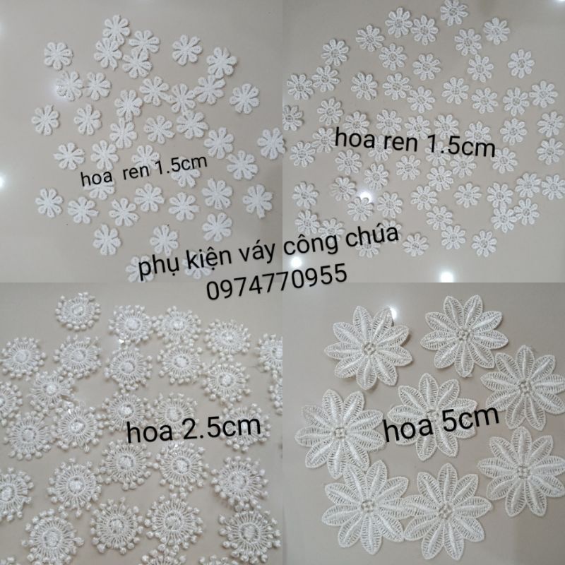 Hoa ren nhí