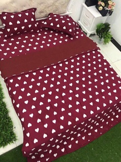 Combo set 5 món Chăn Hè chất Polycotton