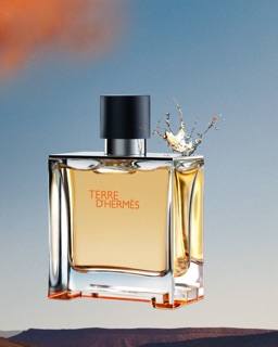 Nước hoa HERMES Terre Parfum 75ml