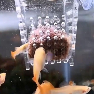 Dụng Cụ Cho Cá Ăn Tiện Lợi
