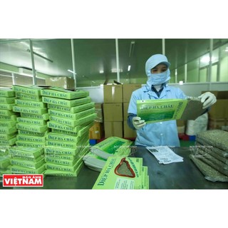 Trà Diệp Hạ Châu Herbeco 200g