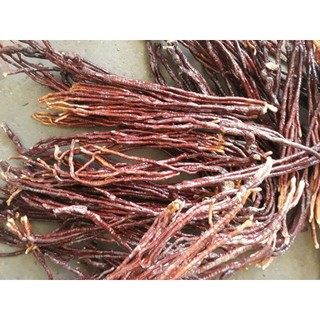 Nấm sừng hươu tây bắc