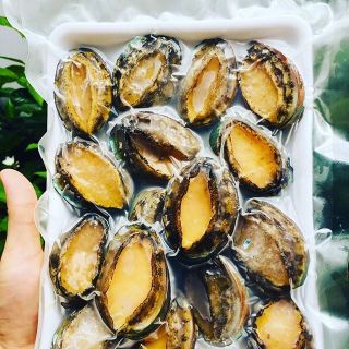 1kg bào ngư Hàn Quốc Abalone(18-20 con/kg)