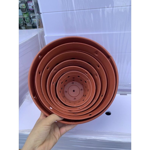 Chậu nhựa trồng lan giả gốm đủ size