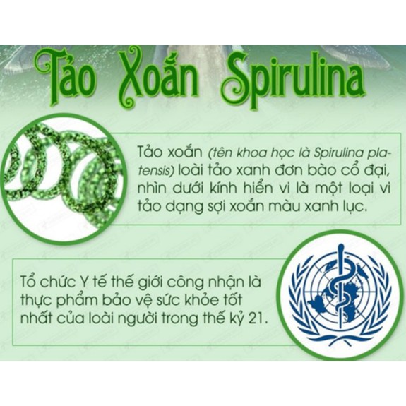 Bột Tảo Xoắn Nguyên Chất Spirulina ( 50gr ) - VASTCOM