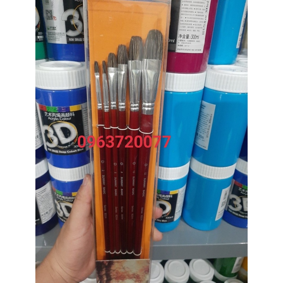 Cọ vẽ lông mền đầu oval cao cấp Bộ 6 cây Sunway Basic B204 thích hợp vẽ mầu acrylic, mầu nước