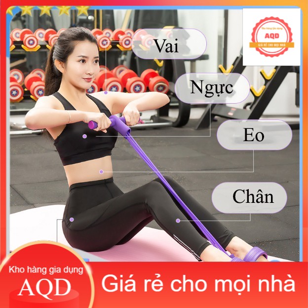 Dụng Cụ Tập Gym, Tập Cơ Bụng Tại Nhà, Kéo Tay Tummy Trimmer Dây Cao Su - AQD