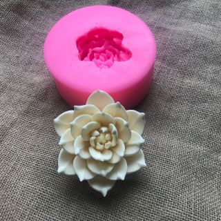 Khuôn silicon 4D Sen đá 10cm