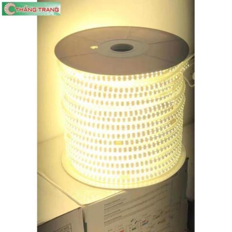 Đèn Led dây đôi 2835 , ống nhựa 220V 15m trở lên Tặng Nguồn