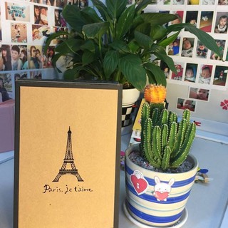 Album ảnh dán  DIY Paris