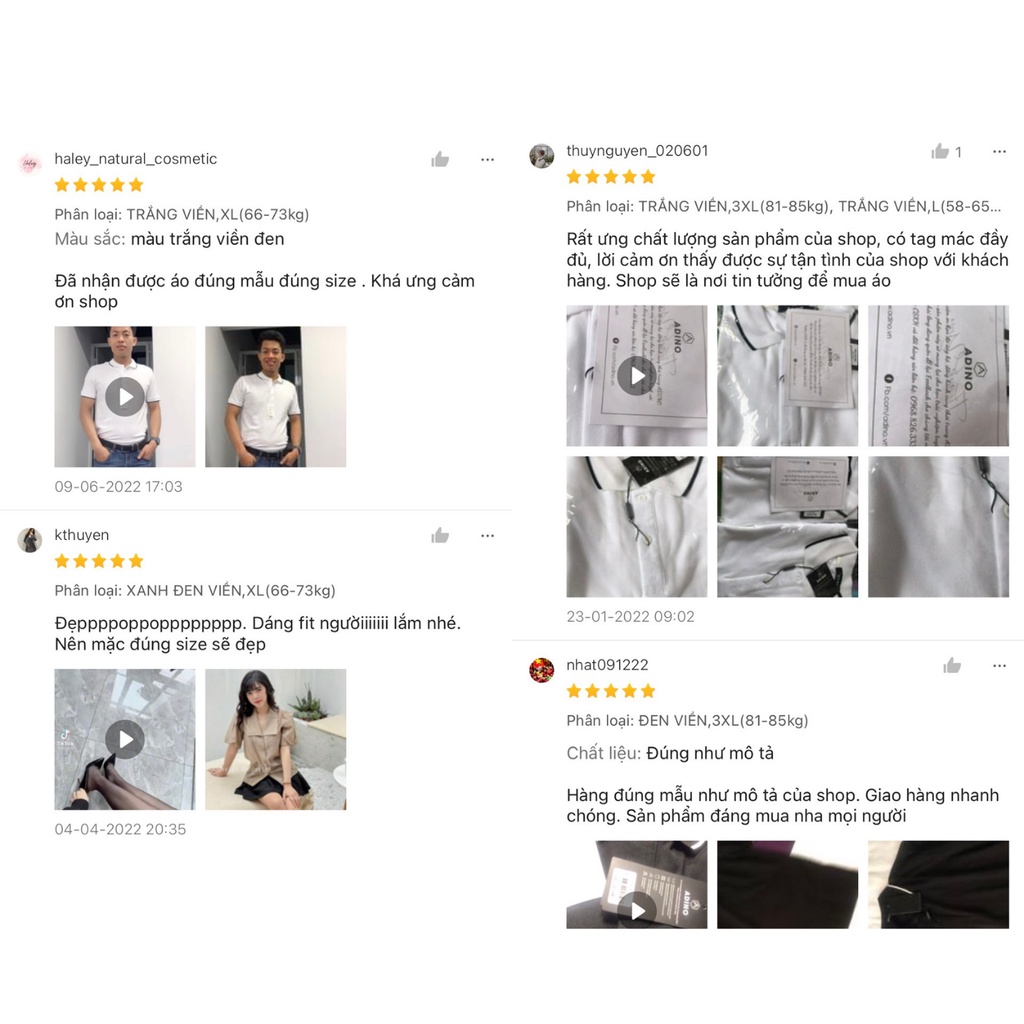 Áo polo nam ADINO 6 màu phối viền vải cotton co giãn dáng công sở slimfit hơi ôm trẻ trung AP70-AP75