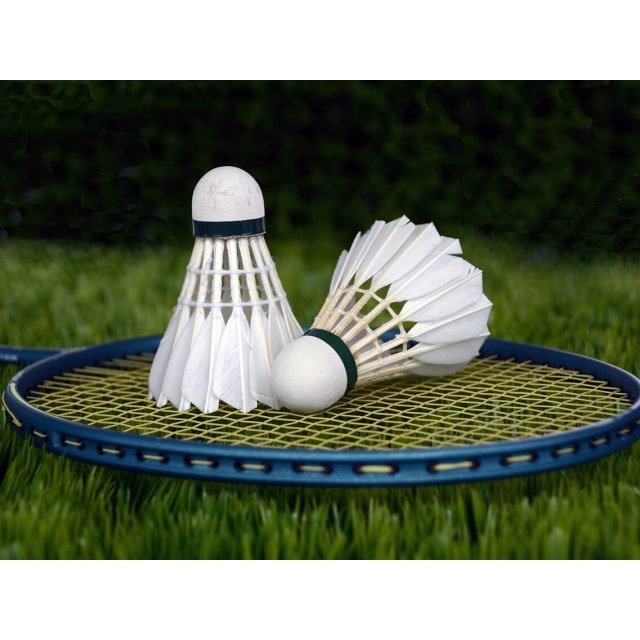 Ống cầu lông, Quả cầu lông Hải Yến Bạc 12 quả hàng Việt Nam chất lượng cao - Dungcusport