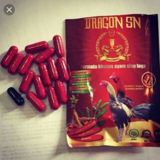 Mô Hình Rồng Sn Thiết Kế Sống Động