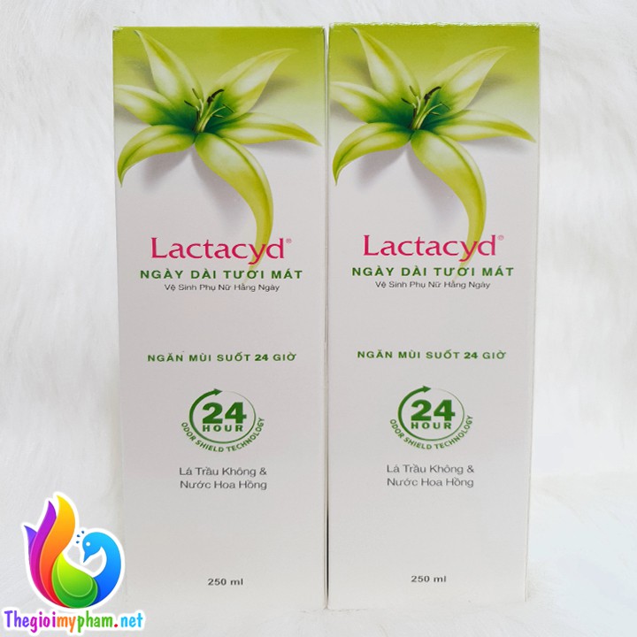 Dung Dịch Vệ Sinh Phụ Nữ Lactacyd 250ml - Lá Trầu Không & Nước Hoa Hồng