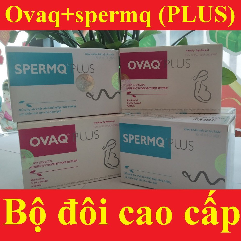 (CHE_TÊN) Bộ đôi CAO CẤP OvaqPlus+SpermqPlus hiệu quả gấp 3 lần loại thường (hộp 60 viên) | BigBuy360 - bigbuy360.vn