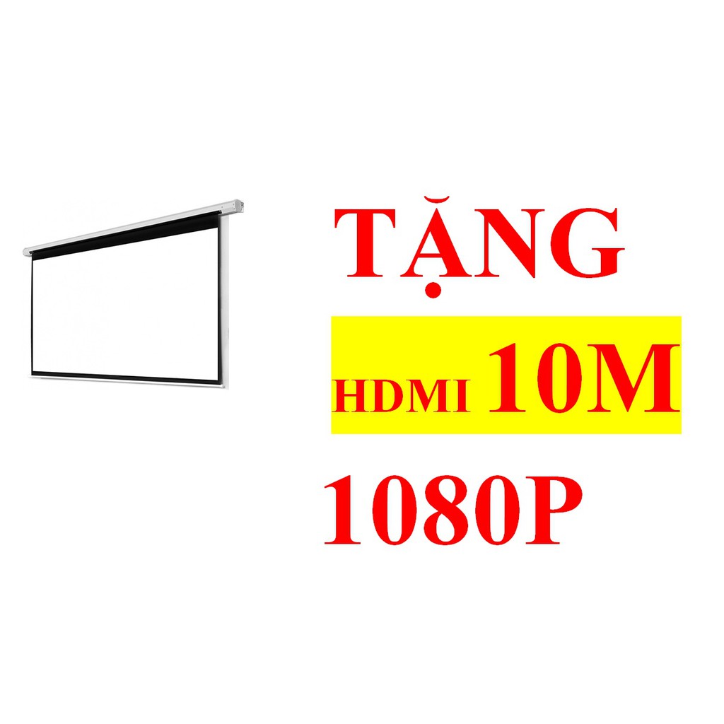 Màn Chiếu Treo 100 inch Kích Thước 1,78m x1,78m Dalite