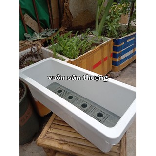 KHAY TRỒNG RAU (1 cái ), HOA THIẾT KẾ DÀI 48*20*16 Trắng