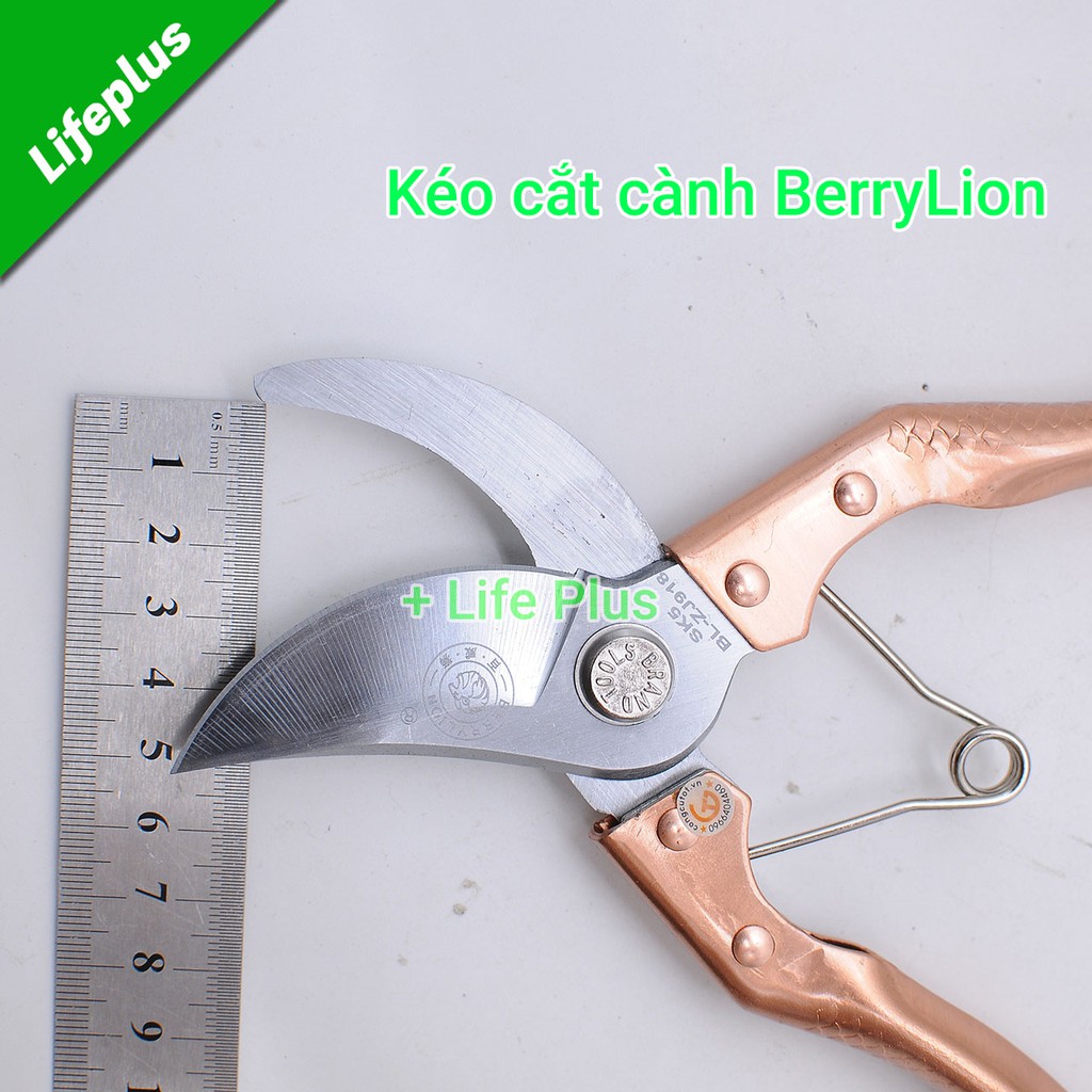 Kéo cắt cành đồng Berrylion