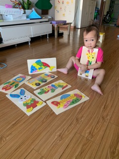 Puzzle gỗ 3d
