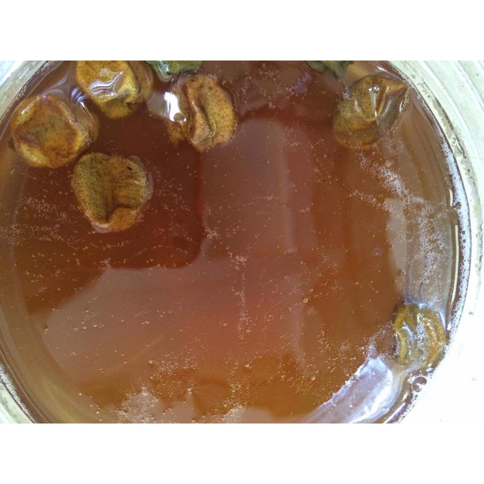 Quất hồng bì ngâm mật ong - 1kg