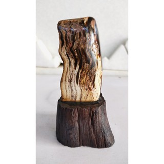 Gỗ Hóa Thạch 100% tự nhiên-Giá gốc tại xưởng--KL: 0.3kg -Cao: 13cm -Rộng: 7cm/HT67