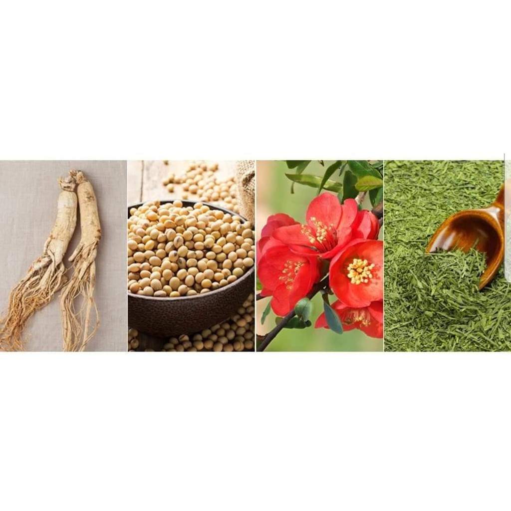 Sữa dưỡng thể ILLIYOON Ceramide Ato Lotion 350ml