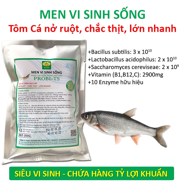 Men vi sinh sống vỗ béo Tôm Cá. Nở ruột, chắc thịt, lớn nhanh. Chứa hàng tỷ lợi khuẩn. Ngăn ngừa các bệnh về đường ruột