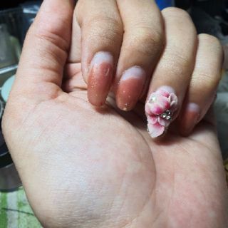 Hoa bột - Cúc - Nails