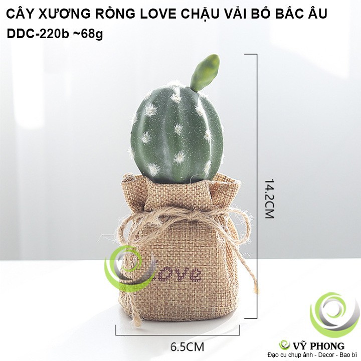 CÂY XƯƠNG RỒNG CHẬU VẢI BỐ CHẬU SEN ĐÁ MÔ PHỎNG NORDIC BẮC ÂU TRANG TRÍ DECOR ĐẠO CỤ CHỤP ẢNH SẢN PHẨM INS DDC-220