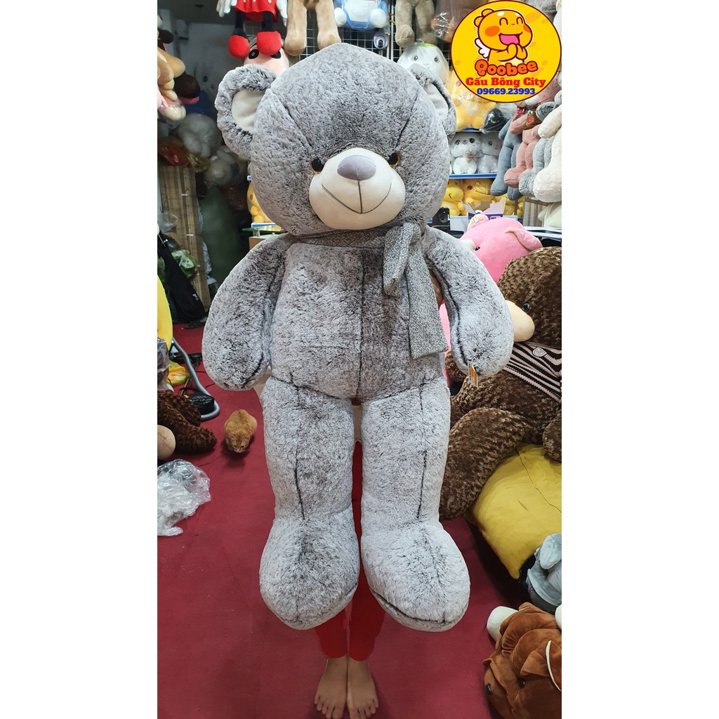 Gấu Bông Teddy Lông Tuyết - Thú Nhồi Bông cao cấp dễ thương