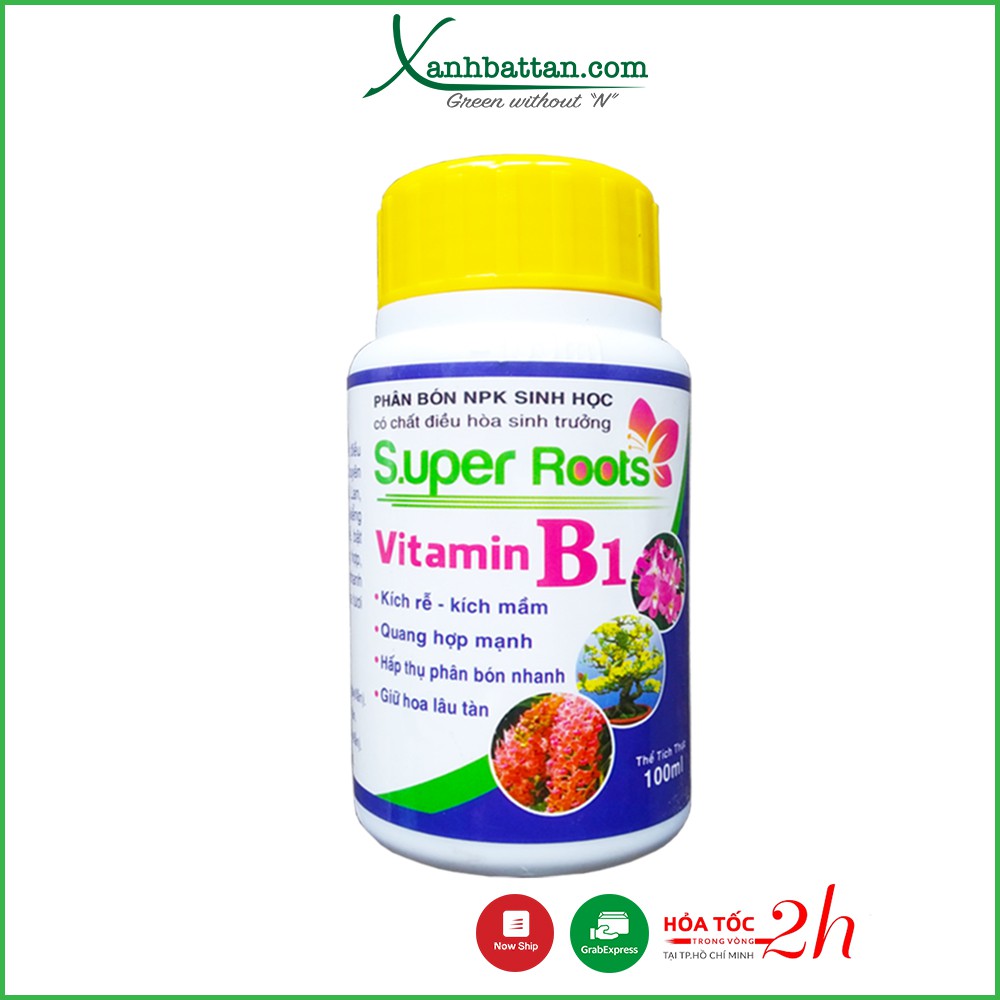 Phân Bón Lá Super Root B1 Kích Rễ - Kích Mầm - Giữ Hoa Lâu Tàn Cho Lan, Hoa Hồng, Hoa Kiểng