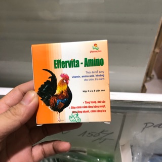 Effervita Amino - bổ sung dinh dưỡng cho gà, chó, mèo