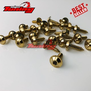 ỐC  PROTI MÀU VÀNG - 5MX2 GẮN CHO DÀN ÁO CÁC DÒNG XE MÁY HIỆN TẠI