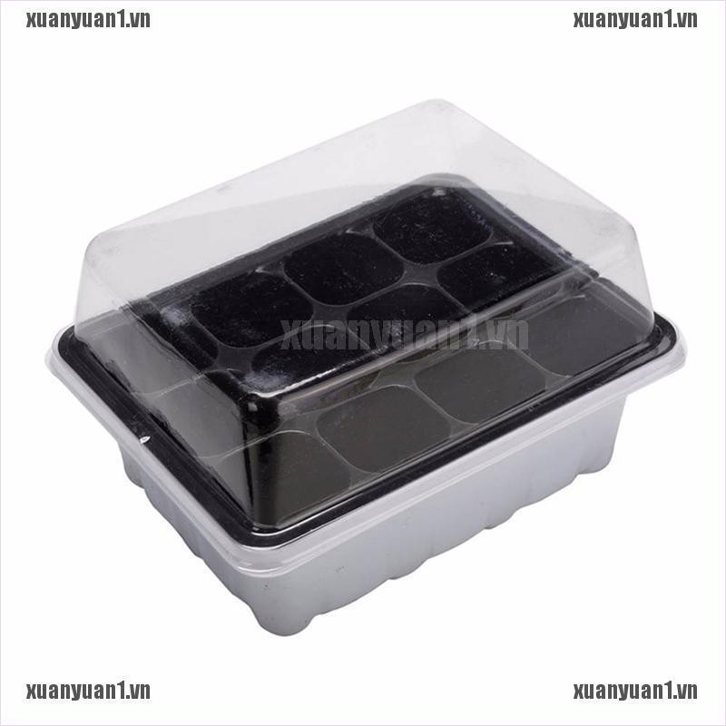 Set 3 Khay Gieo Hạt Trồng Cây 12 Ngăn Tiện Dụng