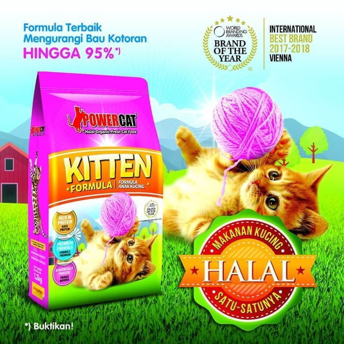 [ Bán sỉ ] Thức ăn cho mèo PowerCat Kitten 1.2kg