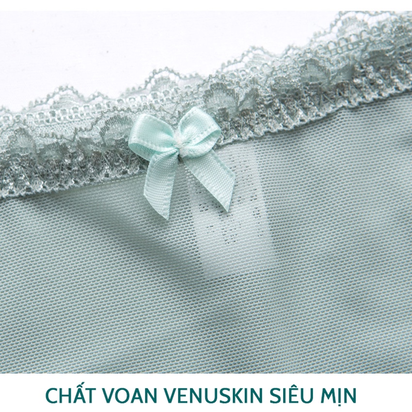 Quần lót nữ ren Venuskin siêu mềm min thoáng mát cạp vừa size lớn Havana FLQ154