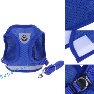 Set áo yếm và dây dắt thời trang cho thú cưng