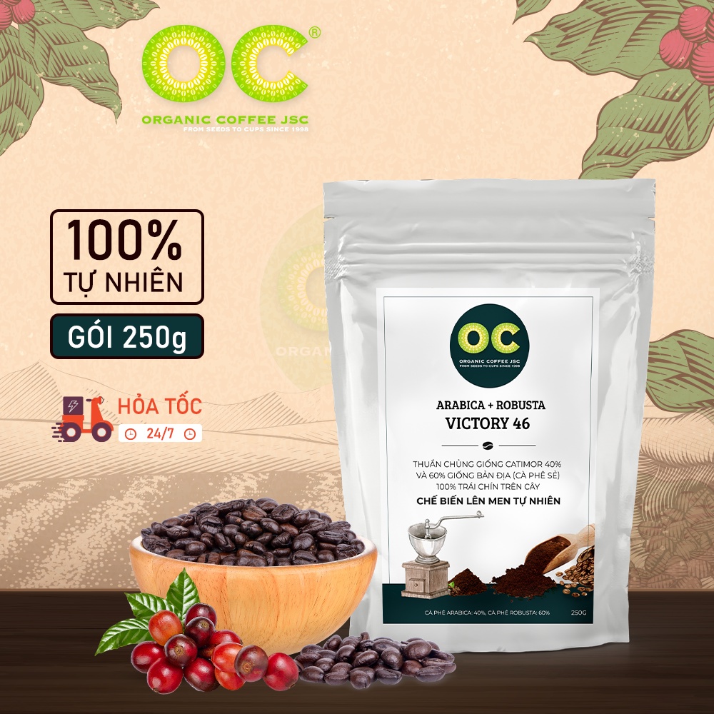 Cà phê rang mộc hữu cơ nguyên chất Robusta Blend VICTORIA 46, Cafe pha phin/pha máy nguyên chất từ Organic Coffee JS