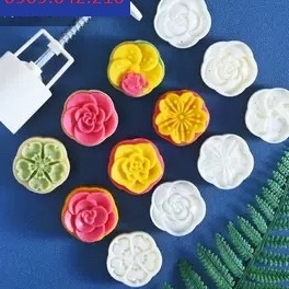 JuL13_ Khuôn bánh trung thu_50gr_75gr >