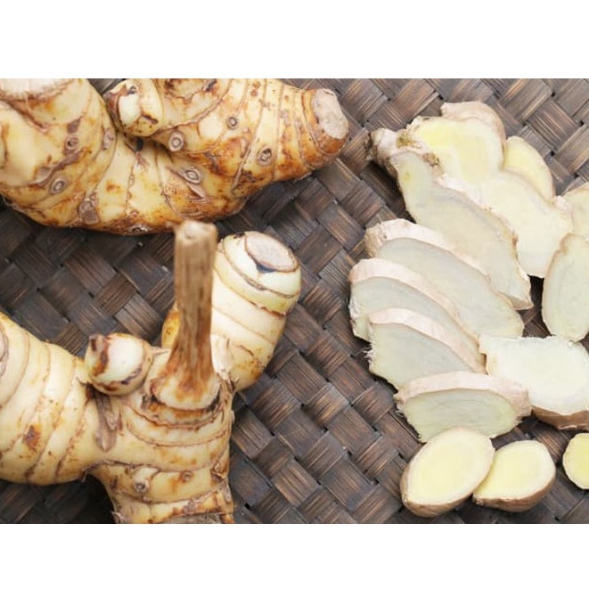 1Kg Củ riềng khô thơm thái lát dùng hầm canh, nấu lẩu - Sỉ giá tốt