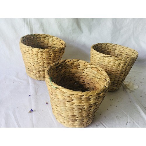 Cốc Lục Bình Làm Chậu Trồng Cây Decor, Phong Cách Vintage ,có ảnh thật