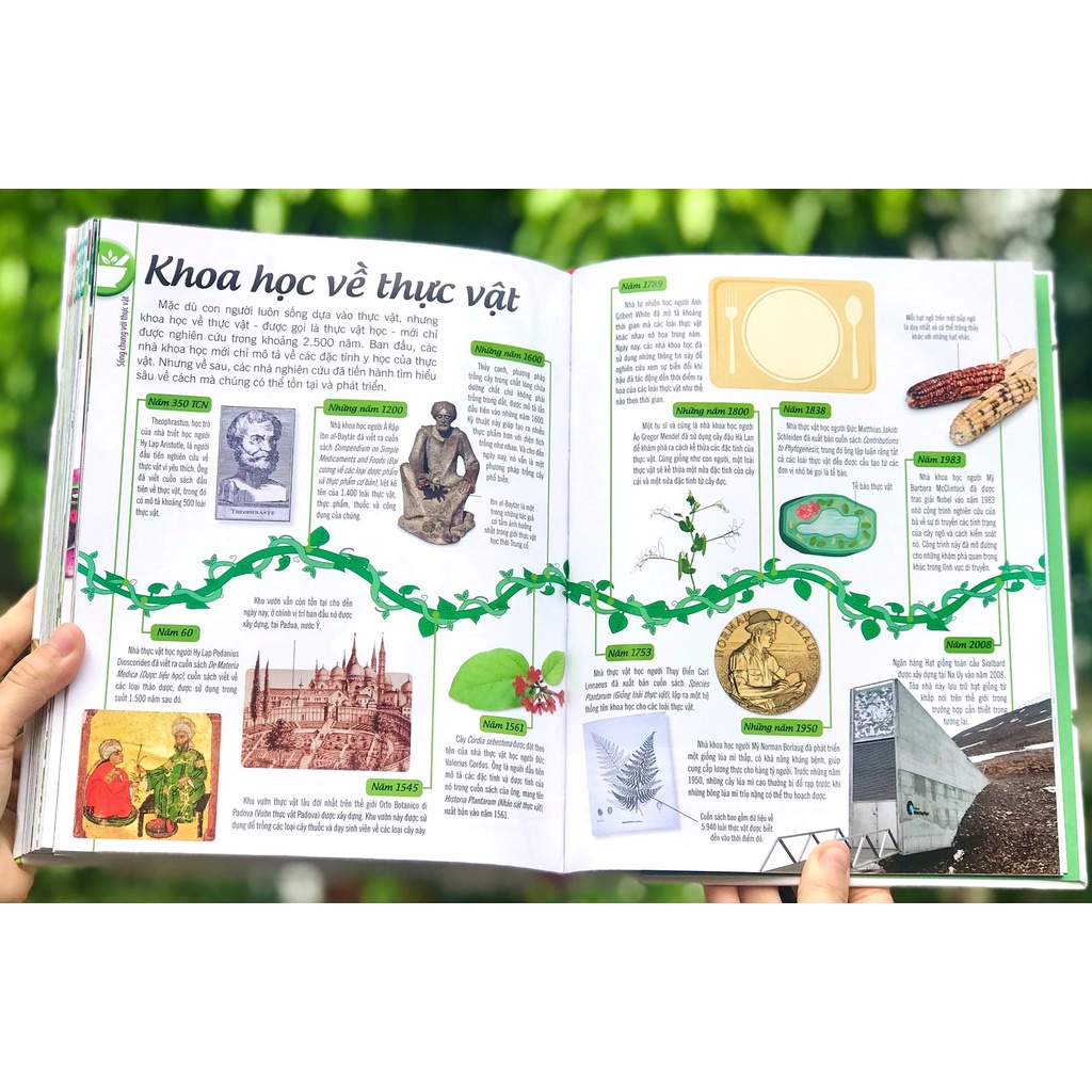 Sách - Bách khoa thư về thế giới thực vật - Cây, Lá, Hoa và Hạt
