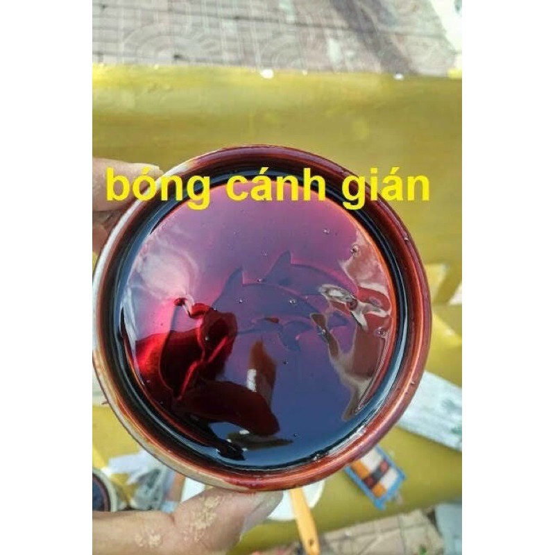 Sơn bóng gỗ màu cánh dán