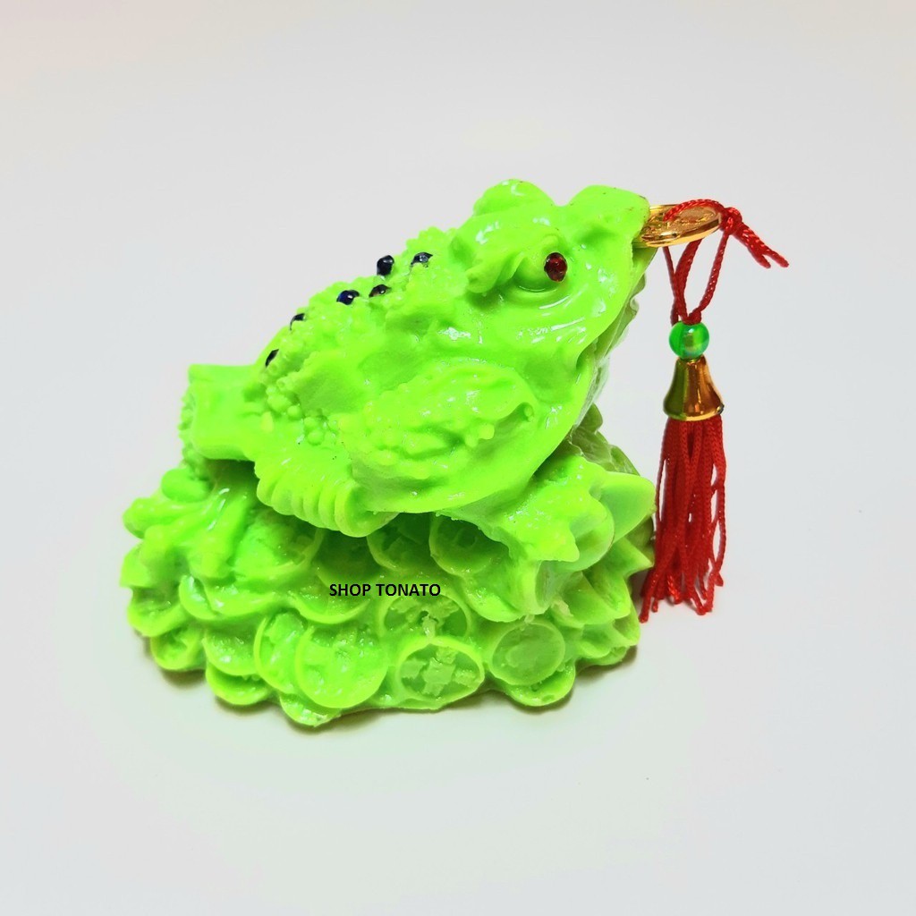 CÓC THIỀM THỪ VIỆT NAM SIZE LỞ CAO 9CM | BigBuy360 - bigbuy360.vn