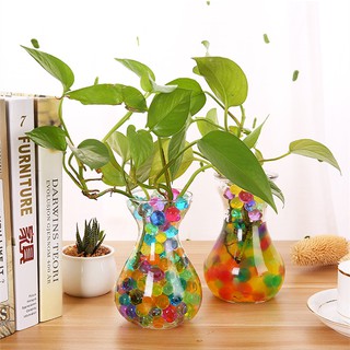 HẠT NỞ, ĐẤT SINH HỌC
