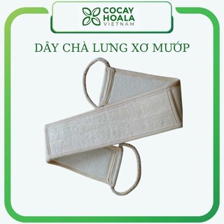 Xơ mướp chà lưng tẩy da chết, dây kỳ lưng xơ mướp tắm